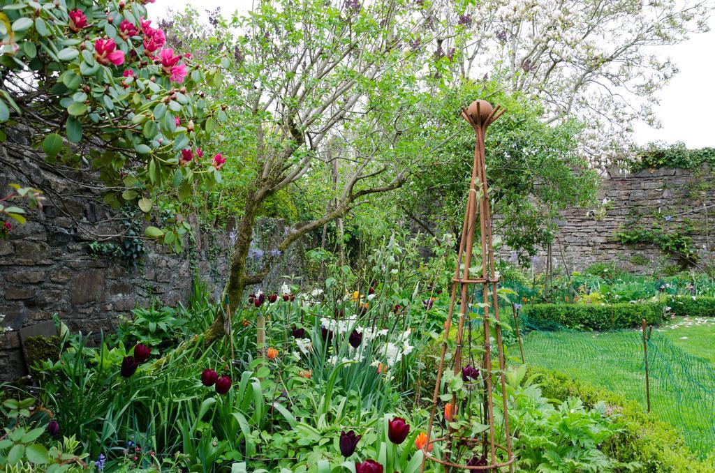 Bampton  Heron House المظهر الخارجي الصورة